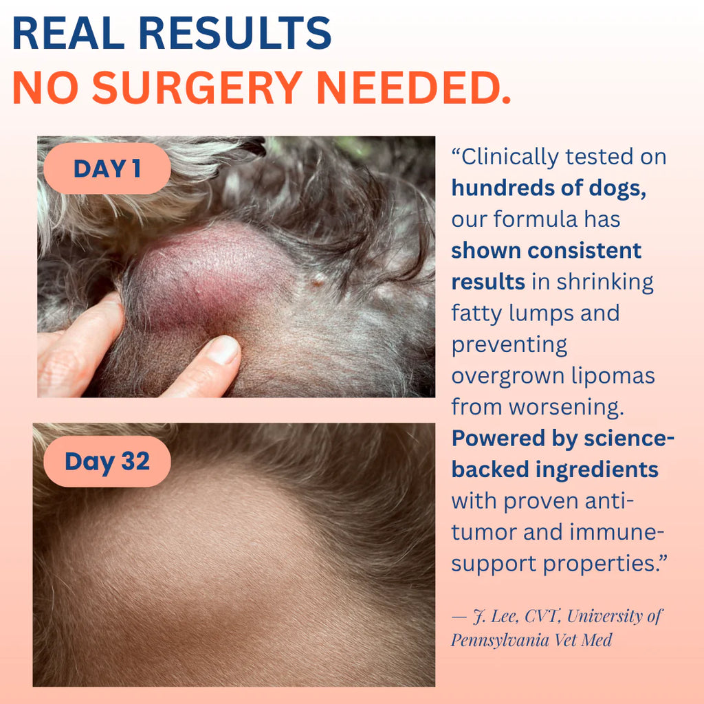 The #1 Vet Recommended Lipomas Relief Supplement