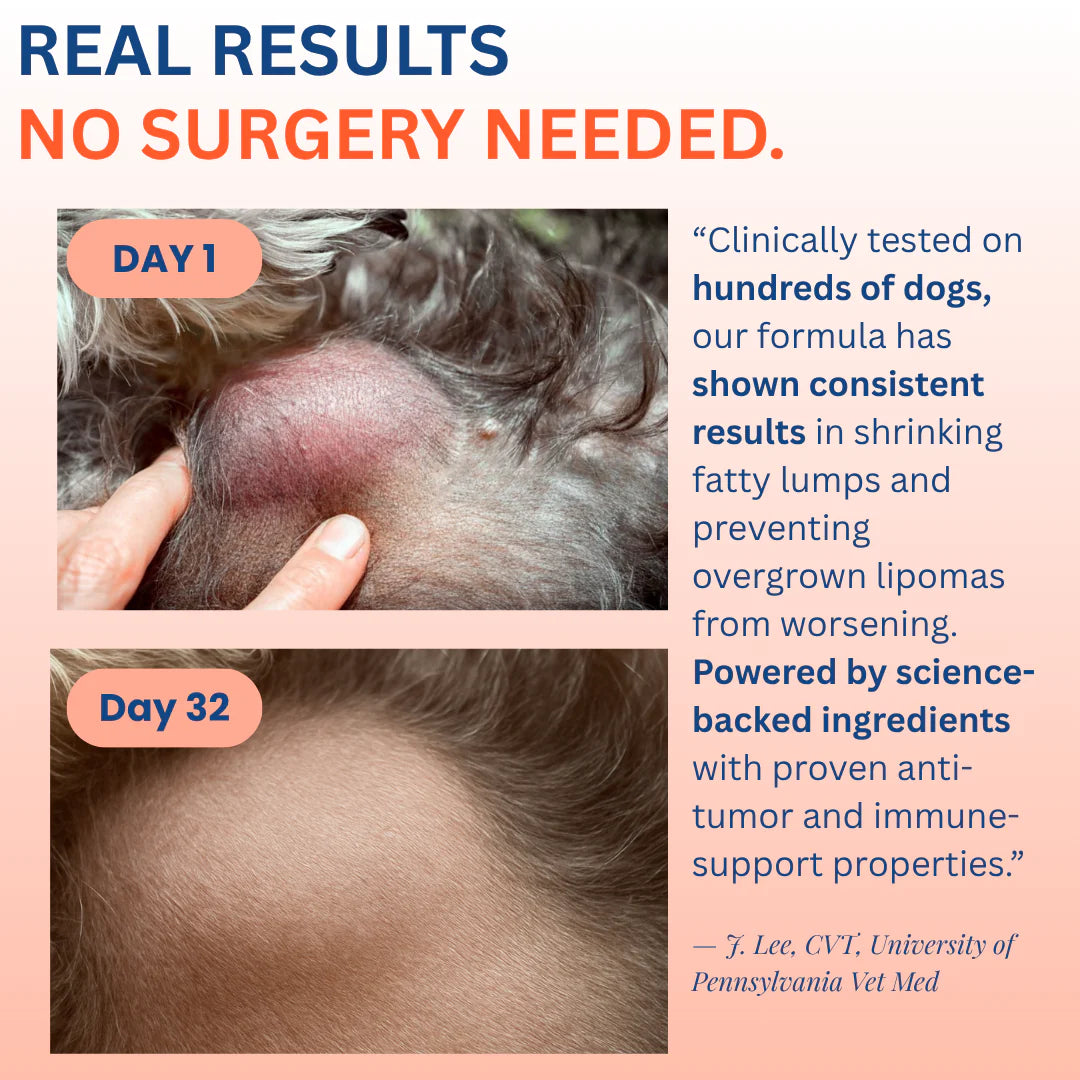 The #1 Vet Recommended Lipomas Relief Supplement