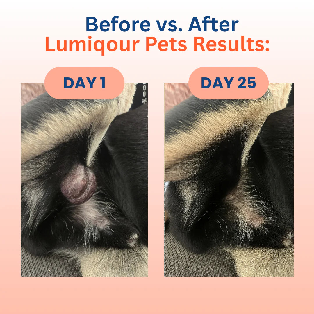 The #1 Vet Recommended Lipomas Relief Supplement
