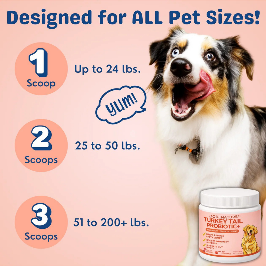 The #1 Vet Recommended Lipomas Relief Supplement